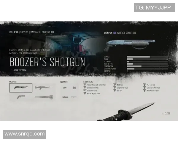 张丽独家分享篮球心得与技巧助你提升球技的秘密武器